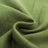Fern